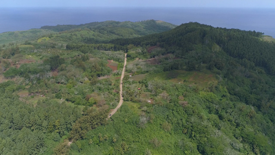 Rurutu, aerial view of the road in the middle of the island and hills, 4K UHD