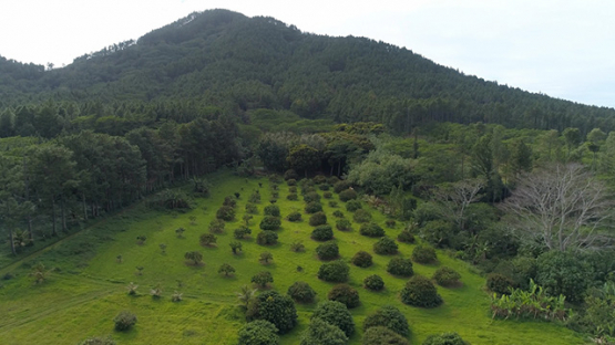 Tubuai, aerial view of the farming lands of Huahine mount Taitaa, 4K UHD