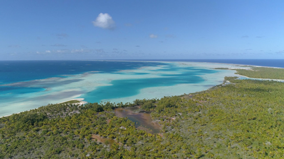 Fakarava, aerial view of the green lagoon and islets, 4K UHD