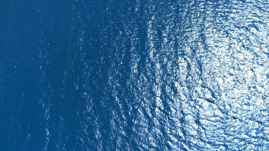 Fakarava, aerial view of the pearl oysters lines in the lagoon, 4K UHD