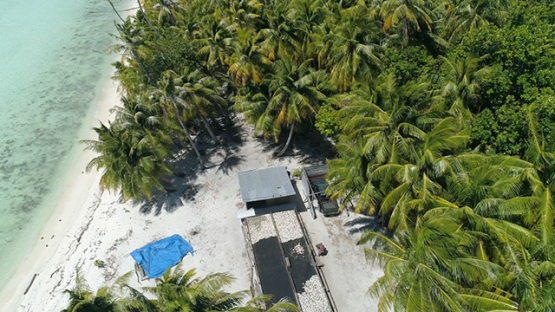Rangiroa, aerial view of a man working on copra culture on an islet, 4K UHD