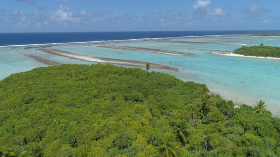 Rangiroa, aerial view of the barrier reef and coconut grove, 4K UHD