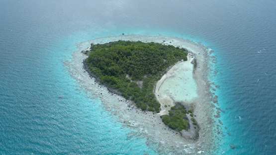 Tikehau, aerial view of the island of marine birds, 4K UHD
