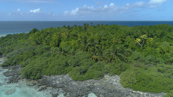 Tikehau, aerial view of marine birds island, 4K UHD