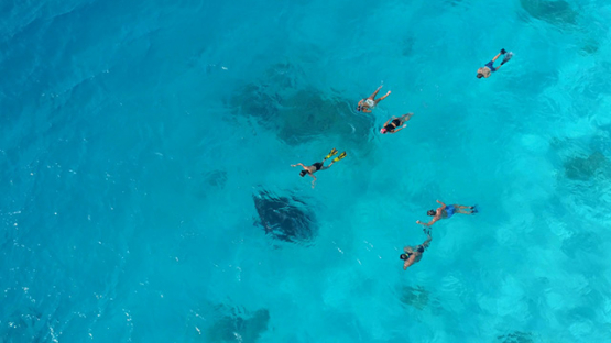 Tikehau, aerial view above tourists watching a manta ray, 4K UHD