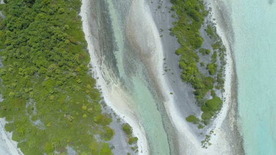 Tikehau, aerial view above islets of the barrier reef, 4K UHD