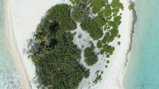 Tikehau, aerial view above the islet Motu Tavararo, 4K UHD