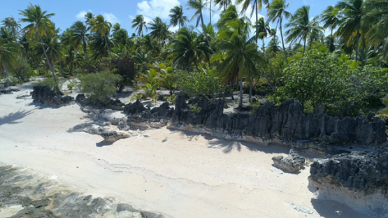 Tikehau, aerial view of the barrier reef and beach behind the village, 4K UHD