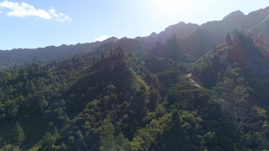 Nuku Hiva, aerial view of the forest and plain of Toovii, 4K UHD