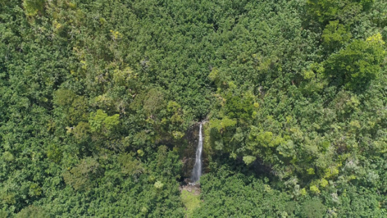 Nuku Hiva, aerial view of the valley Hatiheu and its waterfall, 4K UHD