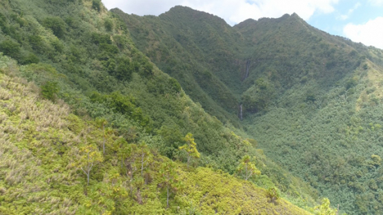 Nuku Hiva, aerial view along the cliffs of the valley Hatiheu, 4K UHD
