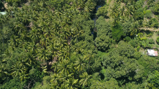 Nuku Hiva, aerial view above the river of the valley Hakaui, 4K UHD
