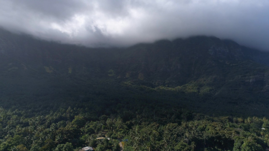 Hiva Oa, aerial view of the valley Taaoa, forest of Upeke, 4K UHD