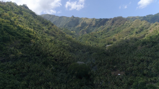 Hiva Oa, aerial view of the tropical forest and valley near Puamau, 4K UHD