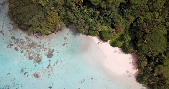 Huahine 4k drone, aerial view of an heavenly beach