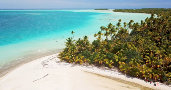 Tetiaroa 4k drone, aerial view of the beach in front of the lagoon