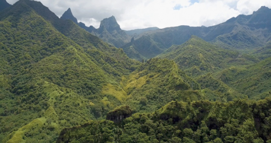 Tahiti 4k drone, aerial view of the inside of the island and mountains