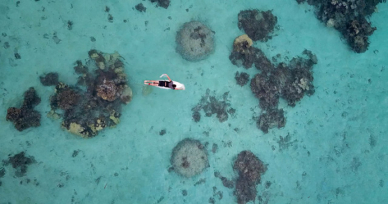 Tahiti 4K drone, aerial view of a surfer paddling over the lagoon