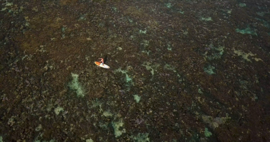 Tahiti 4K drone, aerial view of a stand-up paddle on the lagoon