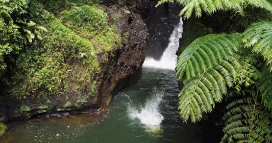 Tahiti 4K drone, aerial view of hiker doing a backflip in front of a waterfall in Hitiaa valley