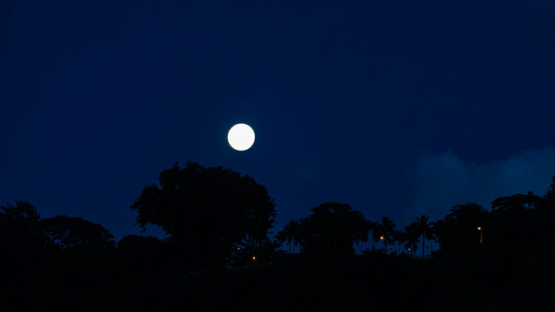 Tikehau, vertical stary timelapse of a moonlight rise over a motu, 4K UHD
