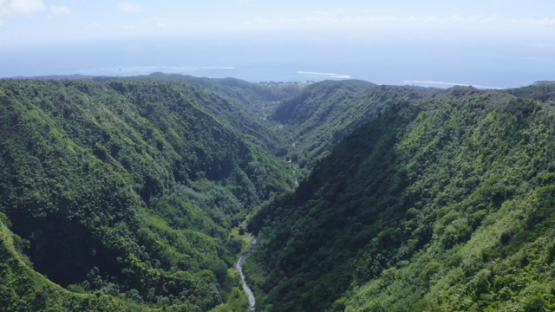 Tahiti, Hitiaa valley, aerial view by drone of Fara Ura, 2K7
