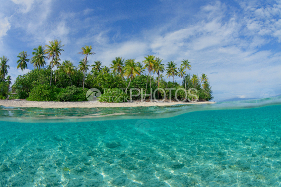 bora bora, islet and coconut trees