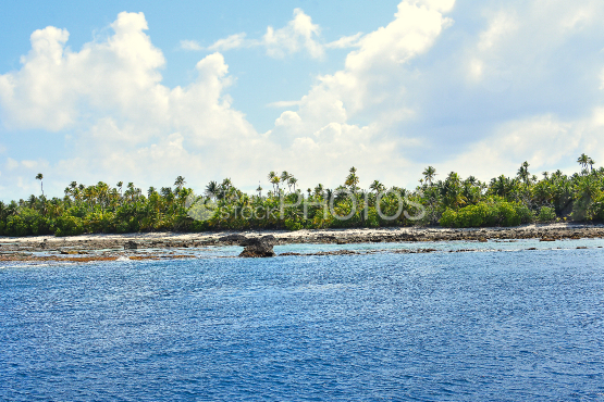 tetiaroa atoll, reef and coconut grove