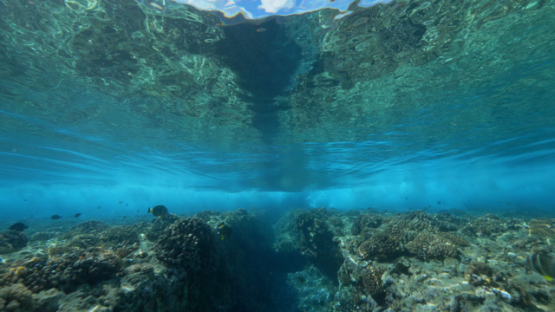 Tahiti, wave on the shorebrake from underwater, 4K UHD