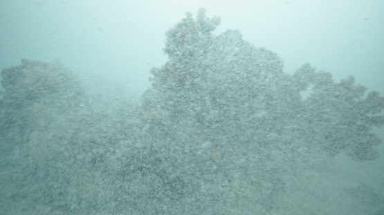 Tahiti, foam of wave over the corals in shallow reef, 4K UHD