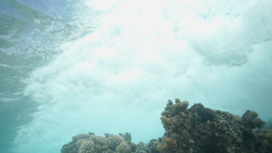 Tahiti, wave breaking over the corals in shallow reef and foam, 4K UHD