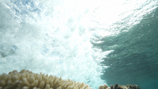 Tahiti, wave breaking over the corals in shallow reef, 4K UHD