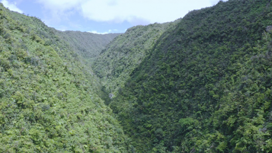 Tahiti, Hitiaa valley, aerial view by drone of the valley Fara Ura, 2K7