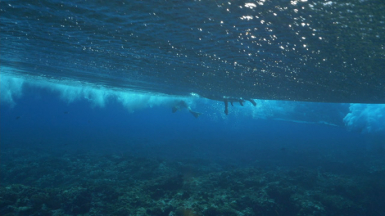 Tahiti, Surfer and his board under the Wave