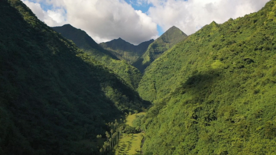 Peninsula of Tahiti, aerial view by drone of Teahupoo valley and mountains