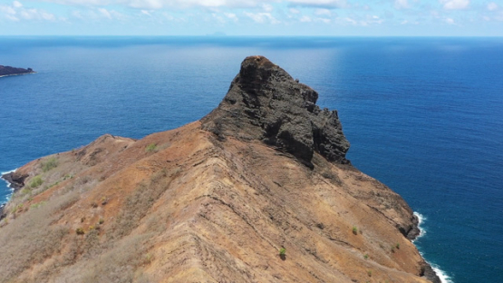 Hiva Oa, aerial drone view of the rocky coast line of Puamau and ocean