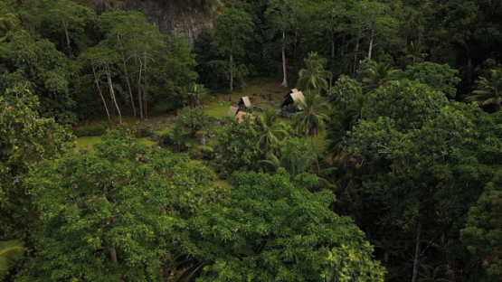 Hiva Oa, vertical aerial drone view of the archeological site of Puamau