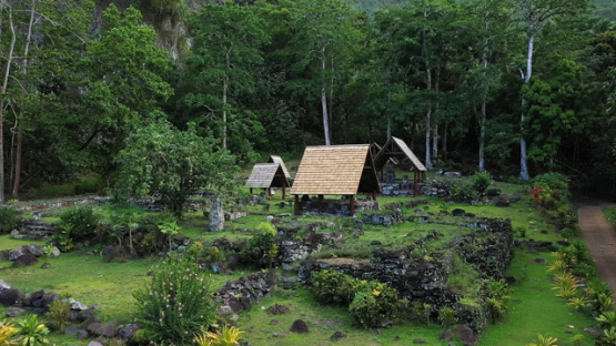 Hiva Oa, vertical aerial drone view of the archeological site of Puamau
