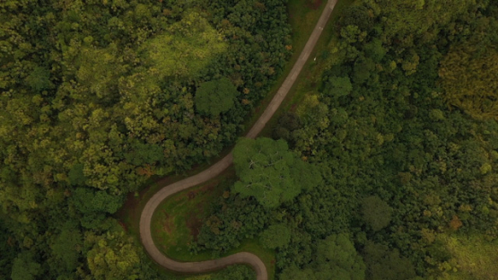 Hiva Oa, aerial drone view of the road in the mountain  and forest