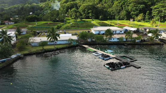 Tahiti, aerial view by drone of The French Research Institute for the Exploitation of the Sea