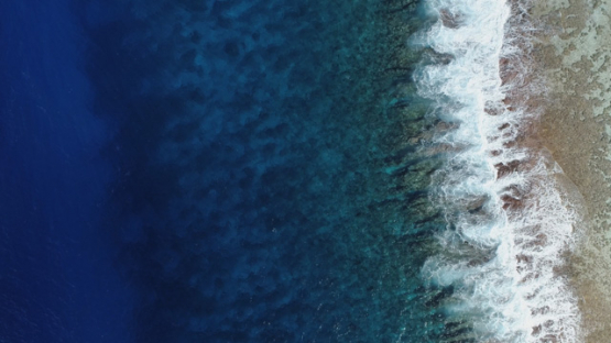 Aerial drone top down view above the barrier reef of Fakarava, 4K UHD