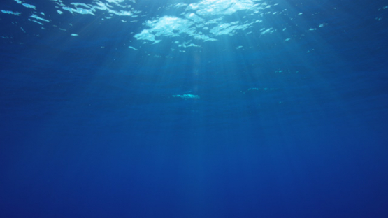 Rangiroa, sun rays undersea, 4K UHD