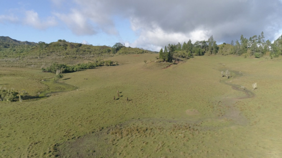 Nuku Hiva, aerial view of a herd of horses in Toovii, 4K UHD