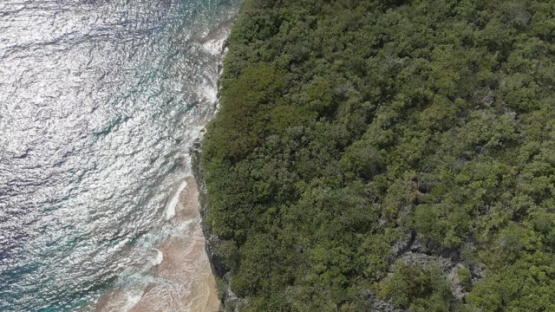 Top down Aerial drone view of the island Makatea, cliff and reef, 2K7