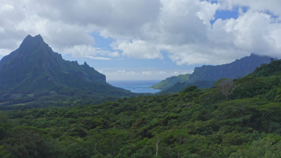 Moorea, Aerial drone view of mountain Rotui and Cook s bay, 4K UHD