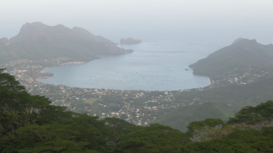Nuku Hiva, aerial view over the forest of the Bay of Taiohae, 4K UHD