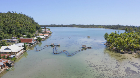 Huahine, aerial view by drone of Maeva lake and its traditional stone fish traps, 4K UHD