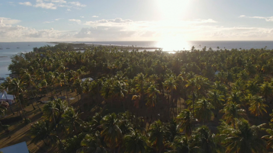 South of Fakarava, aerial view by drone of islet Tetamanu at sunrise, 4K UHD