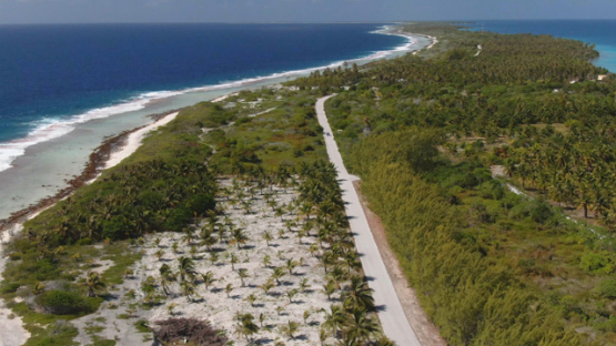 North of Fakarava, aerial view by drone above the road and coconut trees fields, 4K UHD