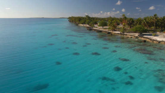 Fakarava, aerial view by drone along the island, lagoon side, 4K UHD